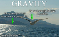 gravity - strong enough and weak enough.jpg