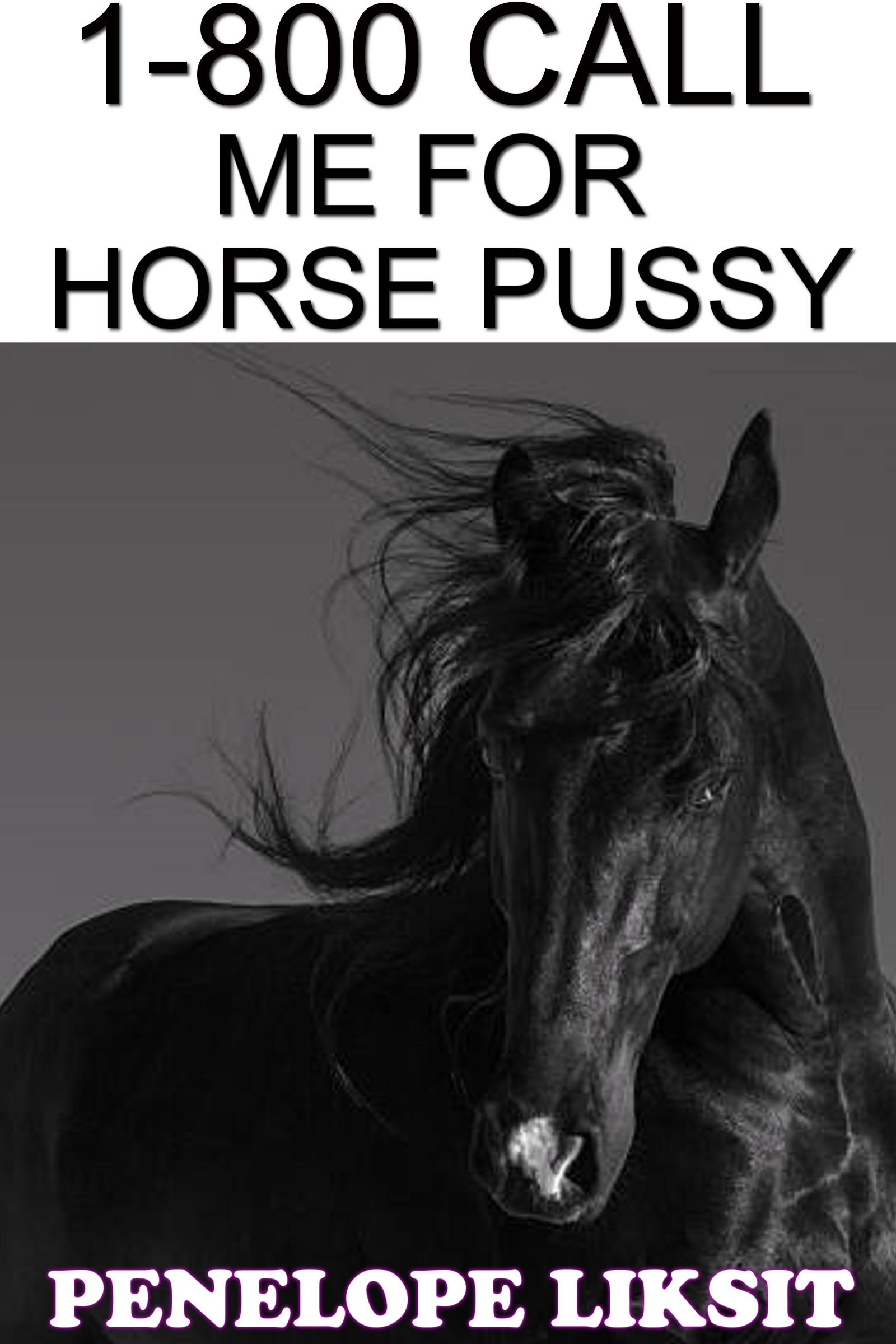 Horse pussy licked