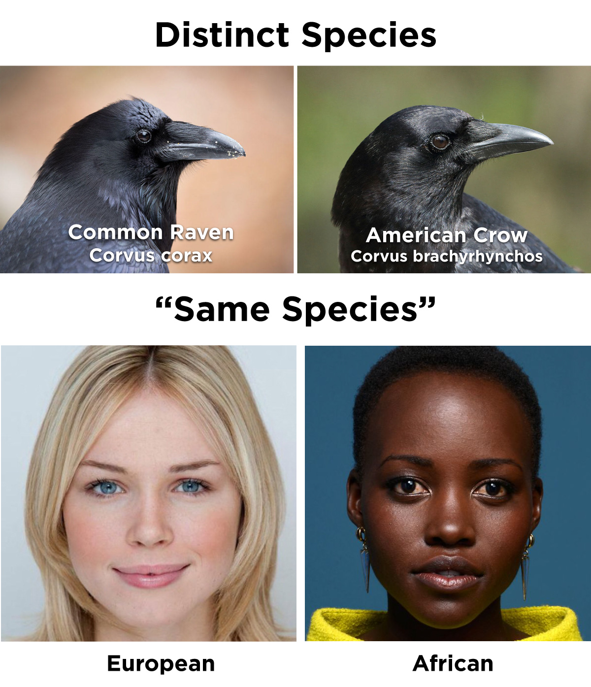 Reddit samespecies