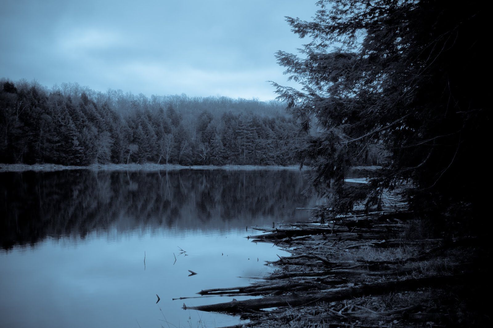 На каком берегу реки черной находится лес. Страшное озеро. Мрачный пруд. Темное озеро. Мрачное озеро в лесу.