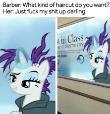 1536792__safe_rarity_it isn't the mane thing about you_spoiler-colon-s07e19_cloak_clothes_female_just fuck my shit up_mare_meme_pony_raribald_sign_so.png
