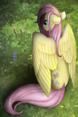 647084__safe_artist-colon-wingedwolf94_fluttershy_floppy ears_from behind_large wings_looking away_looking down_sitting_solo.png