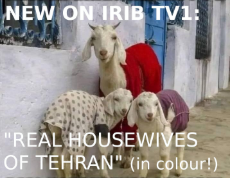 housewivesoftehran.jpg