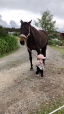 Little Girl Leads Horse.mp4