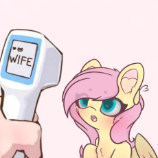 3638305__safe_artist-colon-sodapop+sprays_derpibooru+import_fluttershy_human_pegasus_pony_g4_-colon-o_blushing_chest+fluff_colored+pupils_eye+clipping+.png