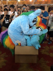 1800493__safe_artist-colon-rogerdaily_rainbow+dash_box_china_china+ponycon_fursuit_human_irl_irl+human_photo_wat.png