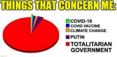things-concern-me-graph-covid-vaccine-cliamte-change-totalitarian-government.jpeg