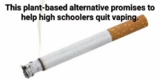 this-plant-based-alternative-promises-to-help-high-schoolers-quit-vaping.jpg