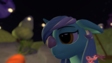 Snapshot_306.png