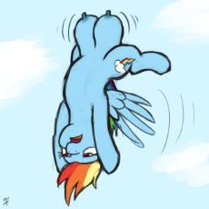 1863102__questionable_artist-colon-mkogwheel_rainbow dash_anti-dash-gravity crotchboobs_crotchboobs_female_floating_impossibly large crot.png
