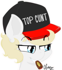 AryannePony_AgADEwADmnOCCg.png