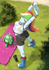 3163827__safe_artist-colon-maxhooves_rainbow+dash_tank_human_tortoise_equestria+girls_g4_ass_breasts_busty+rainbow+dash_butt_rainbutt+dash.png