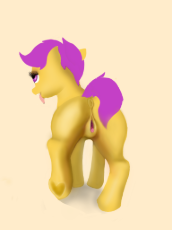 scoots11161342006400.png