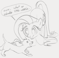 6774392__safe_artist-colon-dotkwa_imported+from+derpibooru_fluttershy_dog_pegasus_pony_butt_cute_dachshund_dialogue_double+entendre_female_gray+background_grays.png