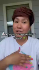 vegetarian dog gone wrong.mp4