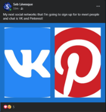 rip vk and pinterest's brain cells.PNG