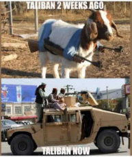 taliban-2-weeks-ago-goat-funs-now-american-weapons.jpeg