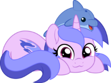 dolphins.png