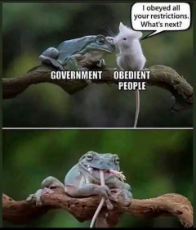 people-government-swallowed.jpeg