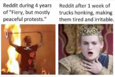 1-week-trucks-honking-royalty.jpeg