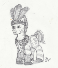 Zebra chief.jpg