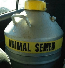 20201205134118.png