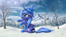 luna in the snow.jpg