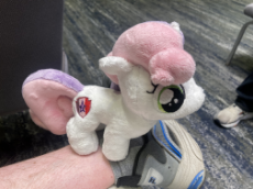 IMG_4116.jpeg