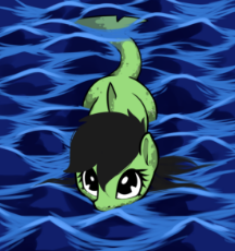 shark_filly.png