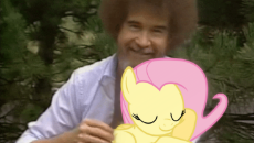 bob ross X fluttershy.png