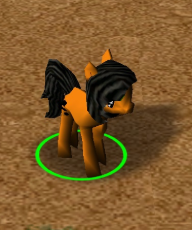Orange filly 2.png