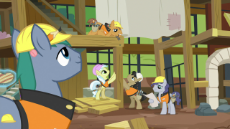 Construction_pony_building_an_animal_hospital_S7E5.png