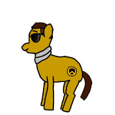 Identitarian Pony 1(2).jpg