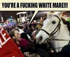 WhiteMare.jpg
