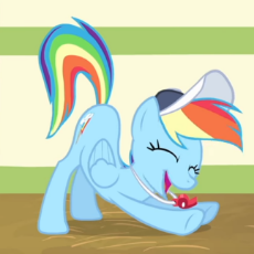 2005498__safe_screencap_rainbow+dash_pegasus_pony_flight+to+the+finish_cap_cropped_cute_dashabetes_eyes+closed_happy_hat_iwtcird_raised+tail_smiling_solo_stretc.png
