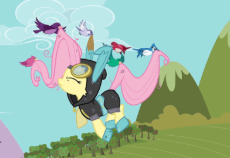 IMG_0748.gif