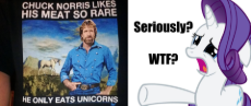 285364__safe_rarity_clothes_t-dash-shirt_chuck+norris.jpeg