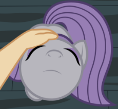 1331580__safe_maud+pie_female_pony_earth+pony_cute_human_eyes+closed_sitting_offscreen+character_happy_derpibooru+exclusive_solo+focus_pov_show+accur.png