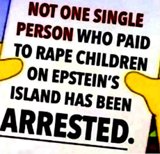 epstein-no-vip-arrested.jpg