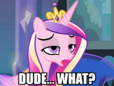 Cadance-DudeWhat.png