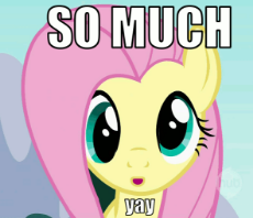 7762_animated_fluttershy_yay_display-3045522086.gif