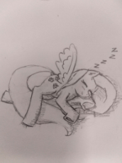 sleepy flutters _045722.jpg