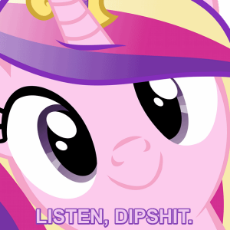 891869__safe_artist-colon-drpancakees_edit_princess cadance_animated_c-colon-_close-dash-up_dipshit_face_face of mercy_hi anon_listen here_looking at y.gif