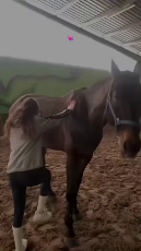 hoers lift.webm