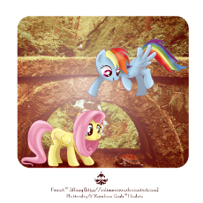 44599__dead source_safe_artist-colon-selinmarsou_fluttershy_rainbow dash_archway_irl_photo_ponies in real life_turtle.png