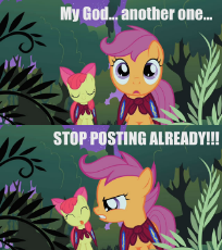 457307__safe_scootaloo_apple bloom_reaction image_caption_it's time to stop posting (1).jpg