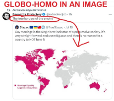 Globohomo in an image - gay marriage.jpg