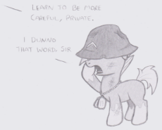 reckless-little-filly.png