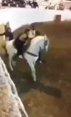Horsey 1 - Land whale 0 - My little pony says NO.mp4