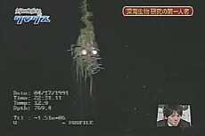 1611686721840.gif
